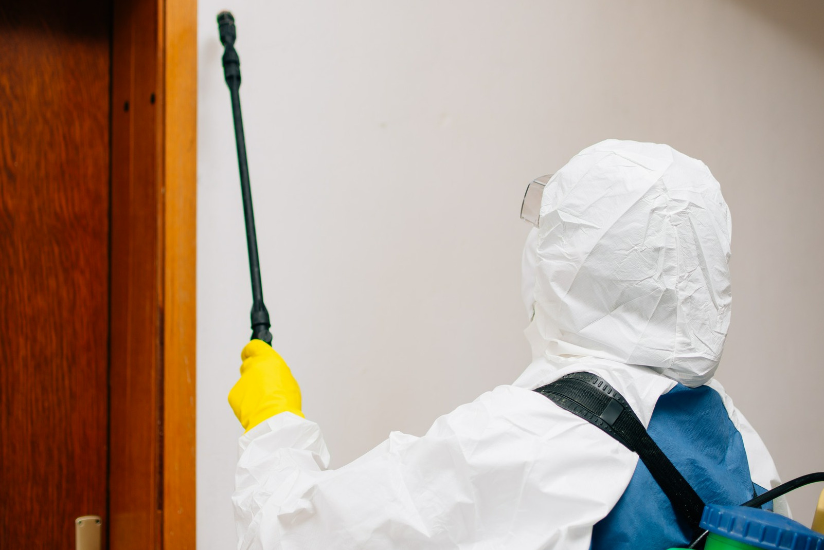 Osoba w kombinezonie ochronnym i żółtych rękawicach spryskuje ścianę preparatem dezynfekcyjnym w pobliżu drewnianych drzwi.
