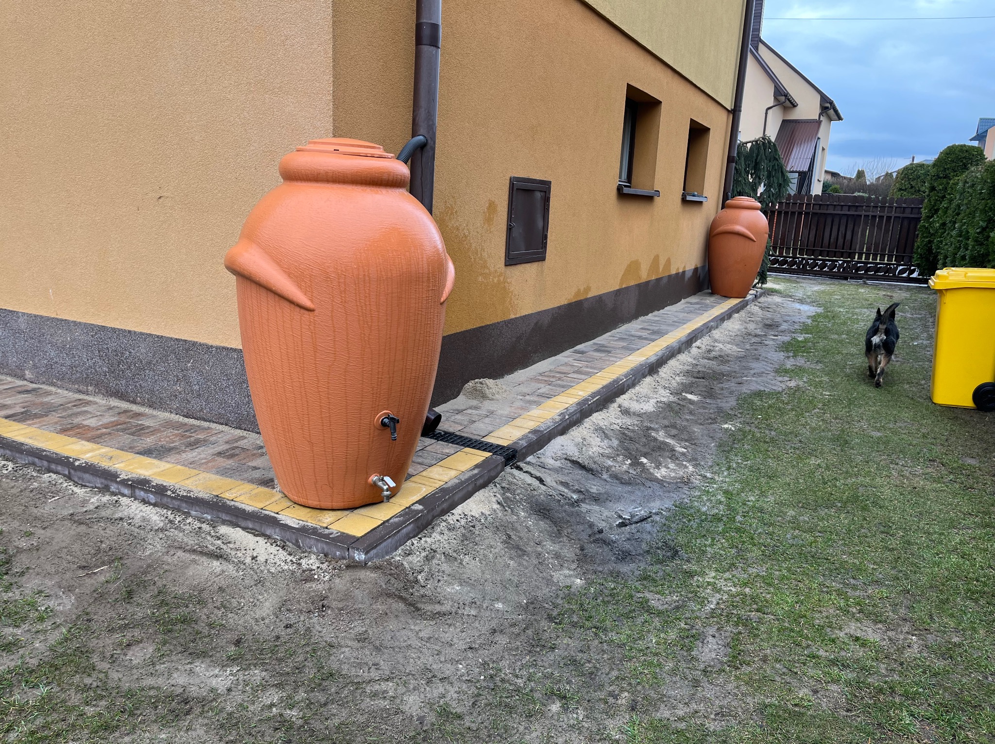 Pomarańczowe zbiorniki na deszczówkę w kształcie amfor, ustawione na obrzeżach z kostki brukowej wzdłuż ściany budynku. W tle widoczny pies i żółty pojemnik.