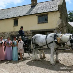 Uroczystość na dziedzińcu z jasnej kostki, zaprzęg konny z powozem, grupa os&oacute;b w strojach wizytowych i budynek w tle