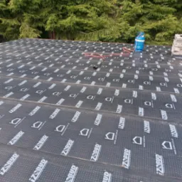 Widok z góry na fragment dachu pokrytego czarną papą z nadrukiem IzoBud, w tle zielone drzewa iglaste i niebieska butla gazowa z czerwoną rurką.