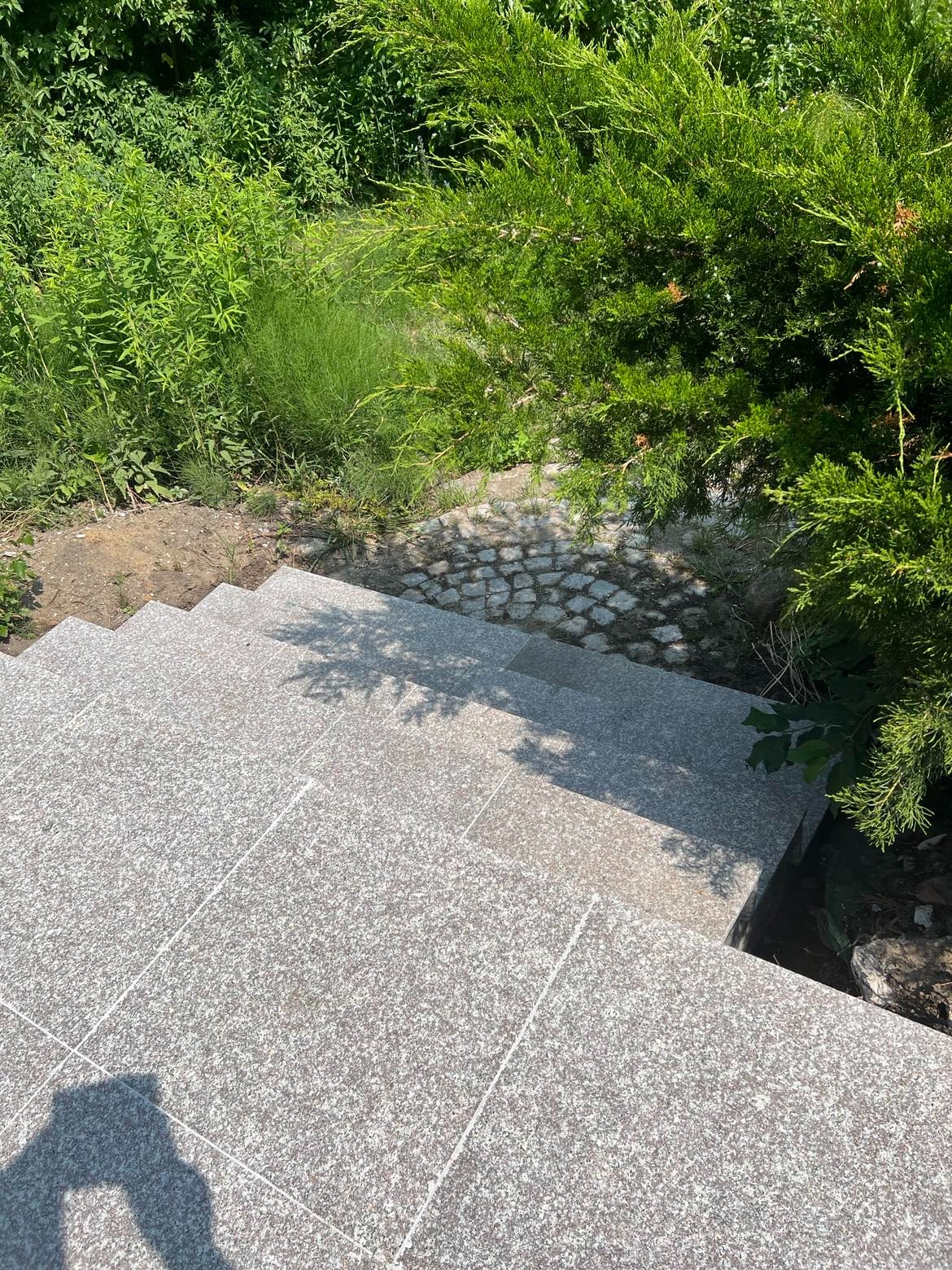 Granitowe schody zewnętrzne prowadzące do ogrodu z roślinnością, na górze widoczna kamienna ścieżka