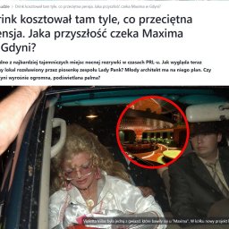 Witwicki Architekt - projekty elewacji - Wnętrze klubu nocnego z podświetlaną palmą, widoczne przez okno samochodu. W środku Violetta Villas i mężczyzna w garniturze. Nietypowe ujęcie.