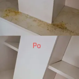 Półka w szafie przed i po czyszczeniu: na górze widoczne zabrudzenia i plamy, na dole czysta, biała powierzchnia.