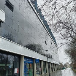 IndustriaAlp Kamil Szewc - Szklana elewacja budynku biurowego odbijająca nagie drzewa w pochmurny dzień po deszczu, widok z poziomu chodnika.