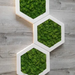 Drewniane heksagony wypełnione mchem chrobotkiem.
