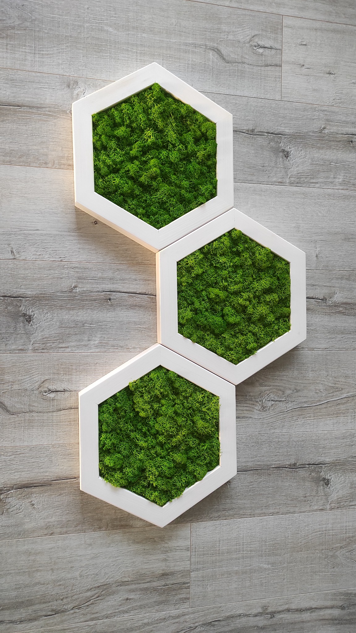 Drewniane heksagony wypełnione mchem chrobotkiem.