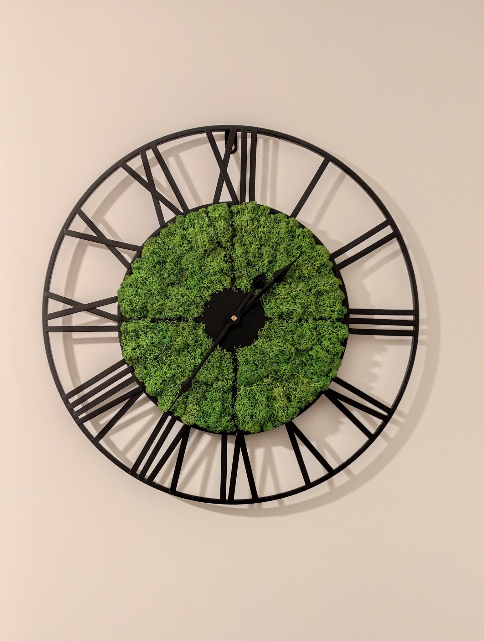 Czarny zegar ścienny z rzymskimi cyframi i wypełnieniem z jasnego, zielonego mchu.