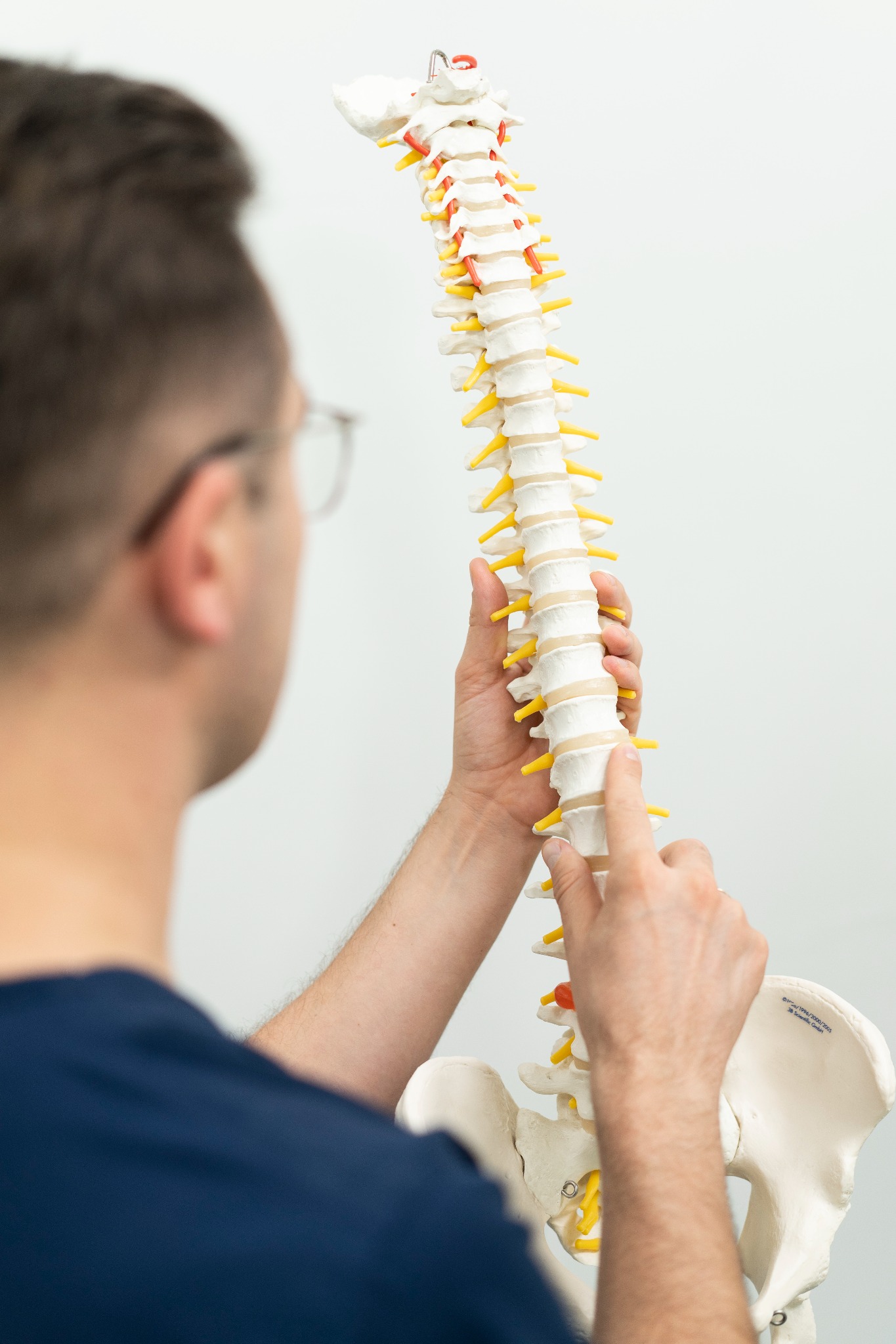 Rehabilitant w okularach prezentuje model kręgosłupa z zaznaczonymi kręgami i nerwami, wskazując na segment lędźwiowy.