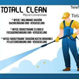 Totall Clean - Elewacja Zewnętrzna Dąbie