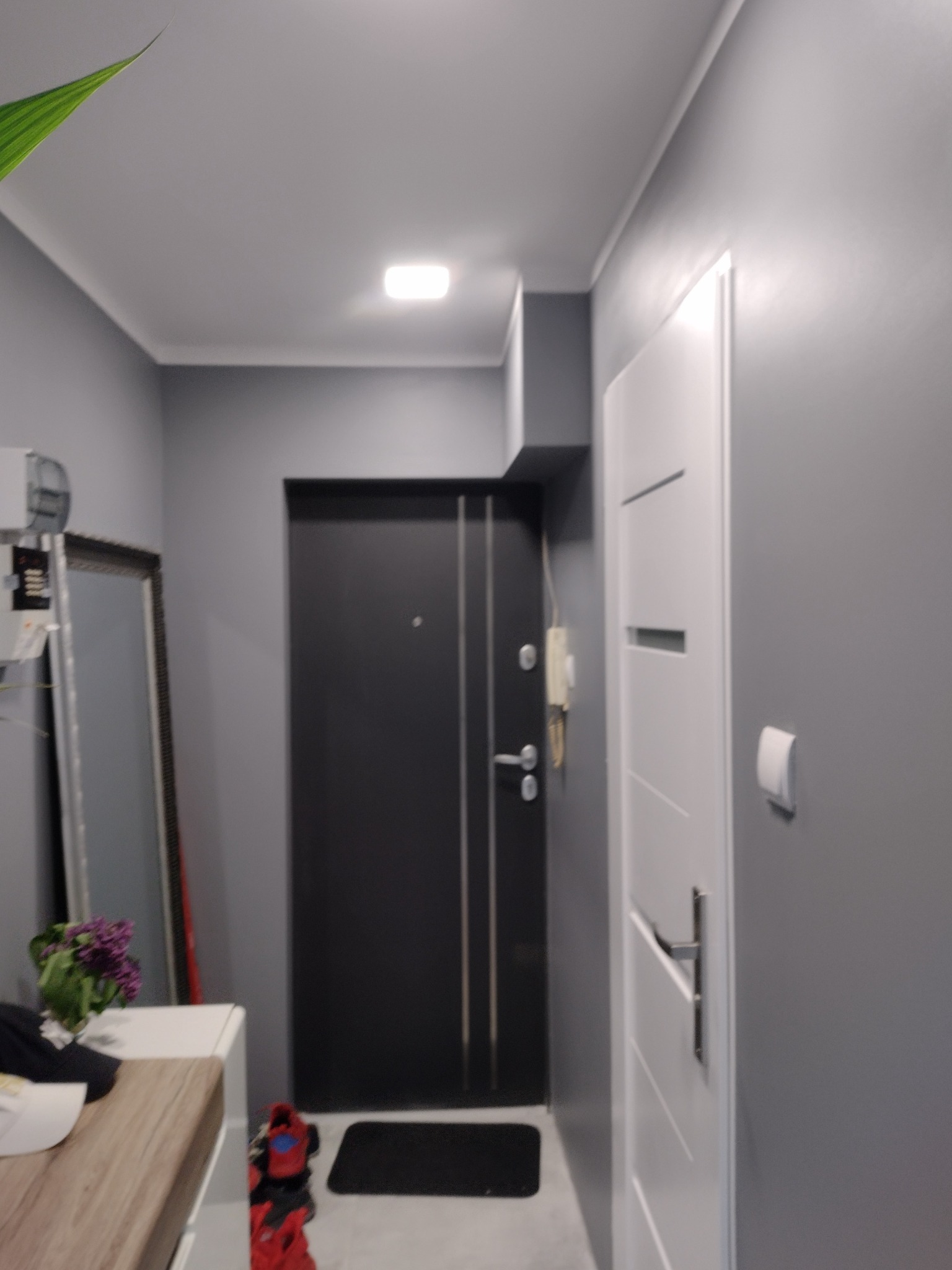 Szare wnętrze przedpokoju z ciemnymi drzwiami wejściowymi, białymi drzwiami wewnętrznymi z poziomymi frezami, lustrem w srebrnej ramie i rośliną doniczkową na blacie