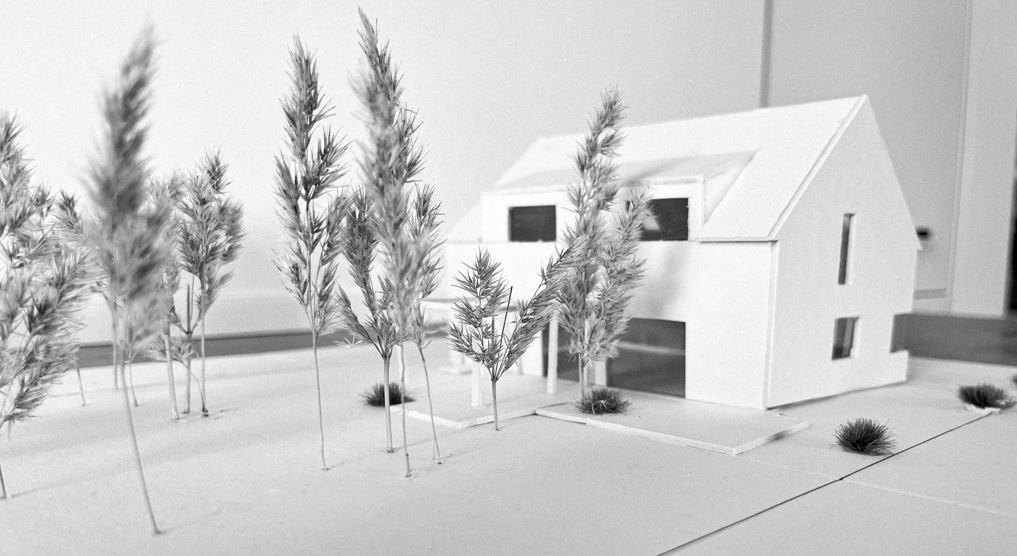 Czarno-biała fotografia makiety domu jednorodzinnego z minimalistyczną bryłą i wysokimi oknami, otoczonego modelami drzew i krzewów, prezentowana na białym tle.