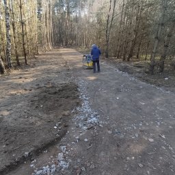 DaMaR Usługi koparką - Pierwszorzędna Ścinka Drzew Koszalin