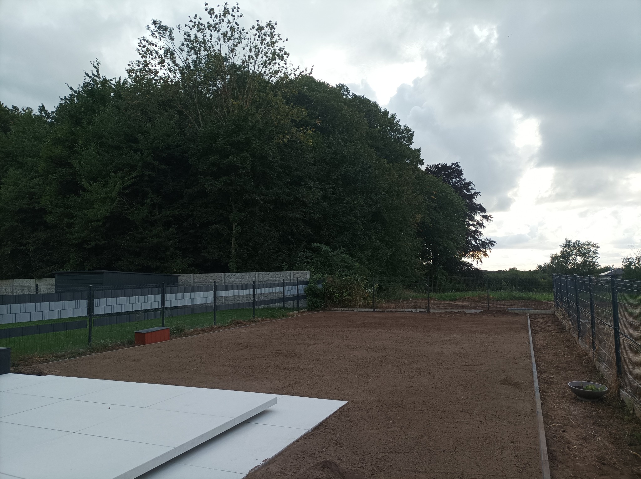 Przygotowany teren pod trawnik z rolki, widoczne płyty chodnikowe i ogrodzenie panelowe na tle drzew i pochmurnego nieba.