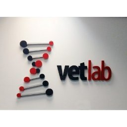 Logo firmy, litery wykonane ze styroduru z malowaniem na wskazane kolory.