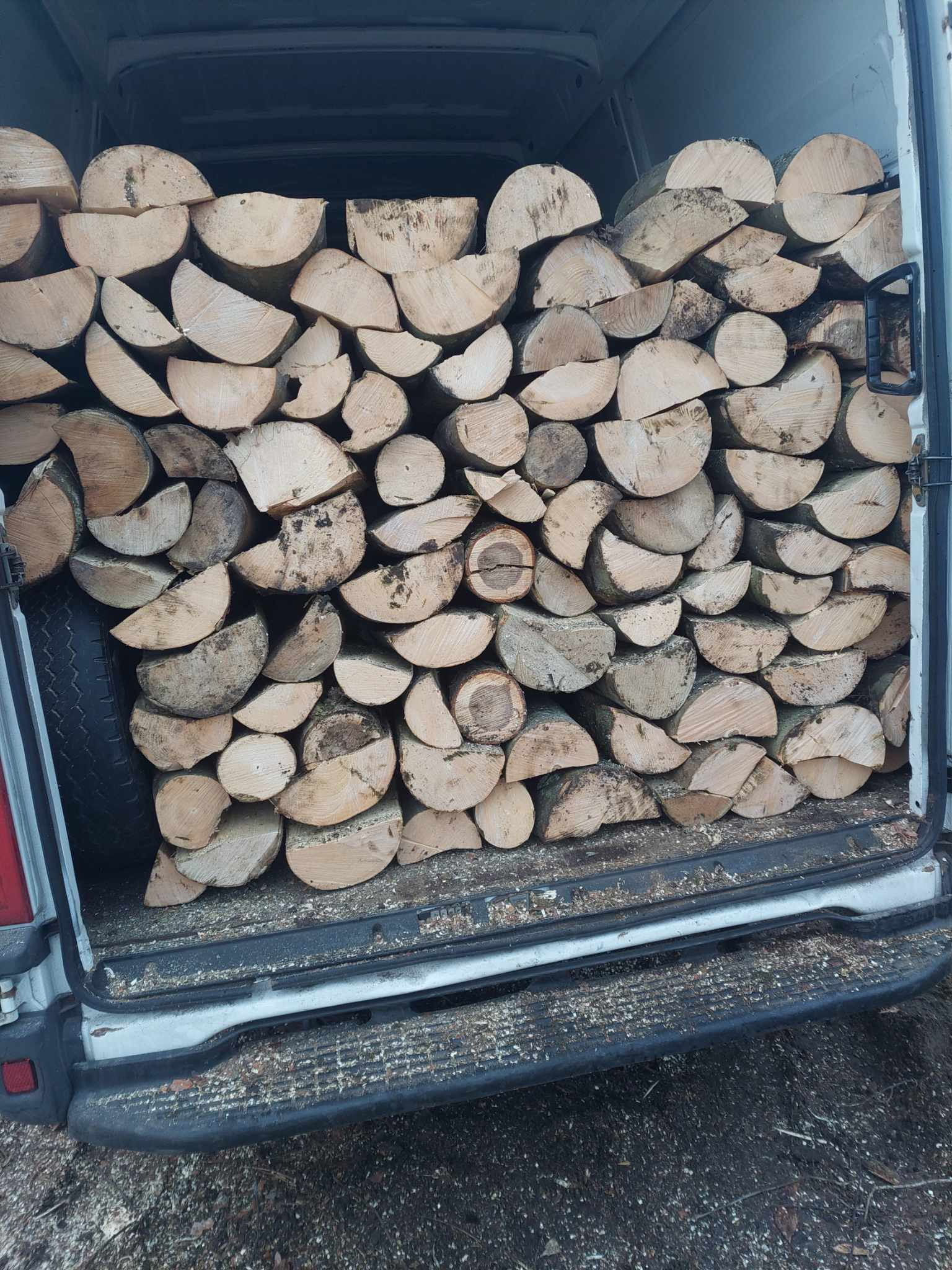 Kiełkujące drewno ułożone w bagażniku dostawczego samochodu, widoczne ślady użytkowania pojazdu.