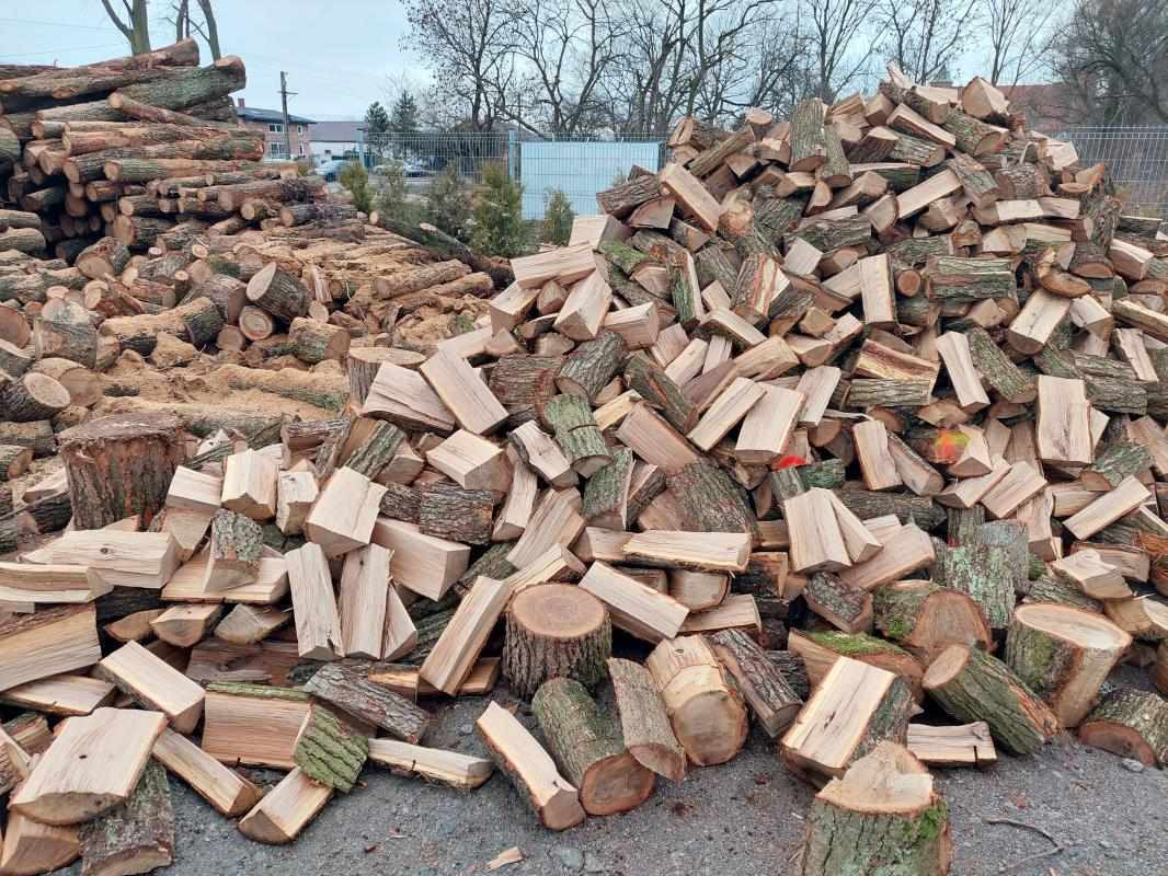 Stos pociętego drewna ułożonego w pryzmę na zewnątrz, widoczne kora i słoje, w tle ogrodzenie i budynki.