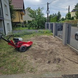 Wycinka drzew Luborzyca 2