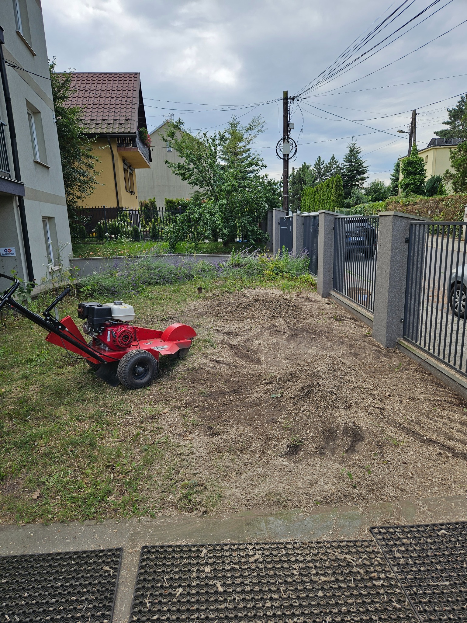 Czerwona frezarka do pni drzew na trawniku po wycince, z widocznymi wiórami i pniem. W tle budynki mieszkalne i ogrodzenie.