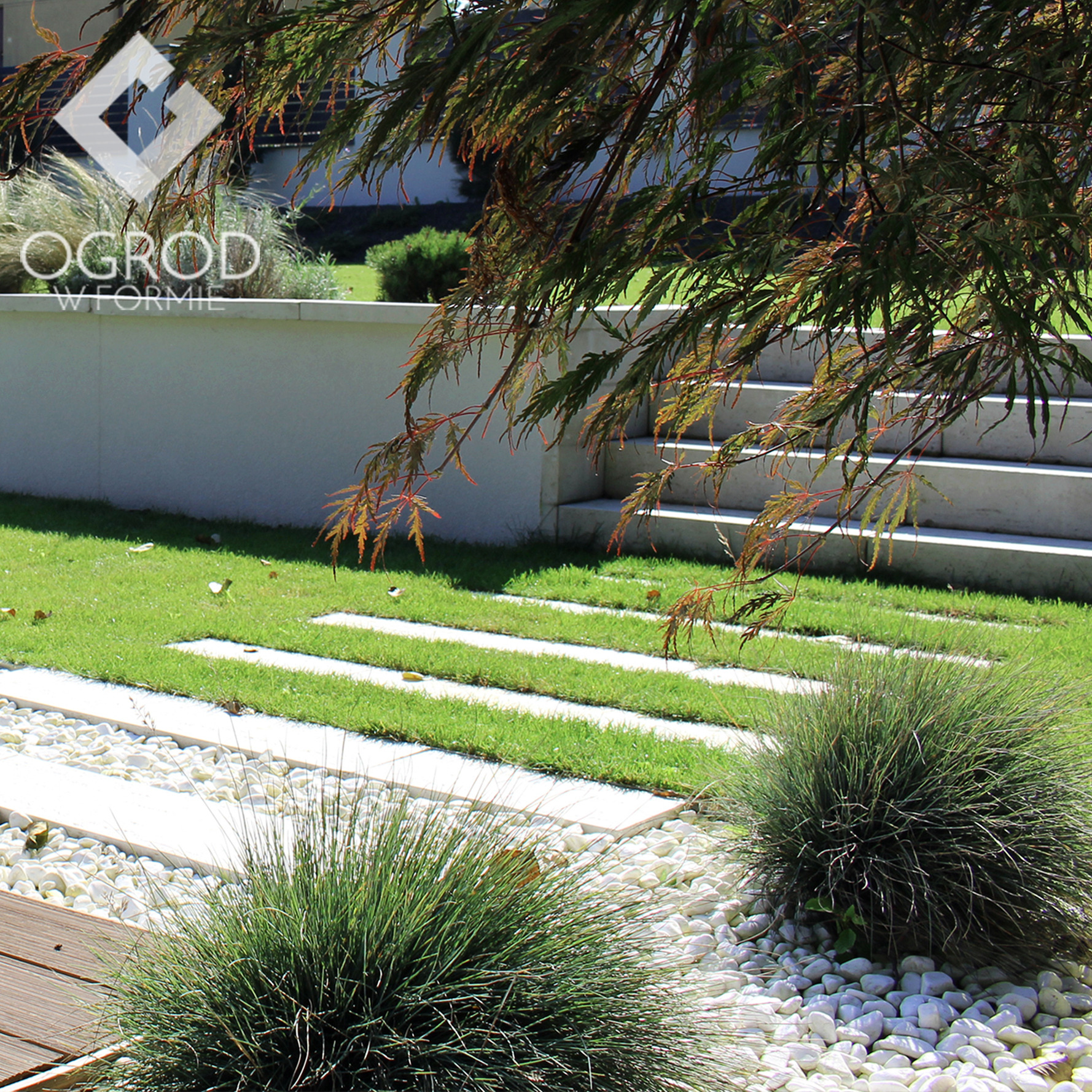 Nowoczesny ogród z trawnikiem, białymi płytami chodnikowymi, białymi kamieniami i ozdobnymi trawami, z widocznymi schodami i elementami japońskiego klonu.