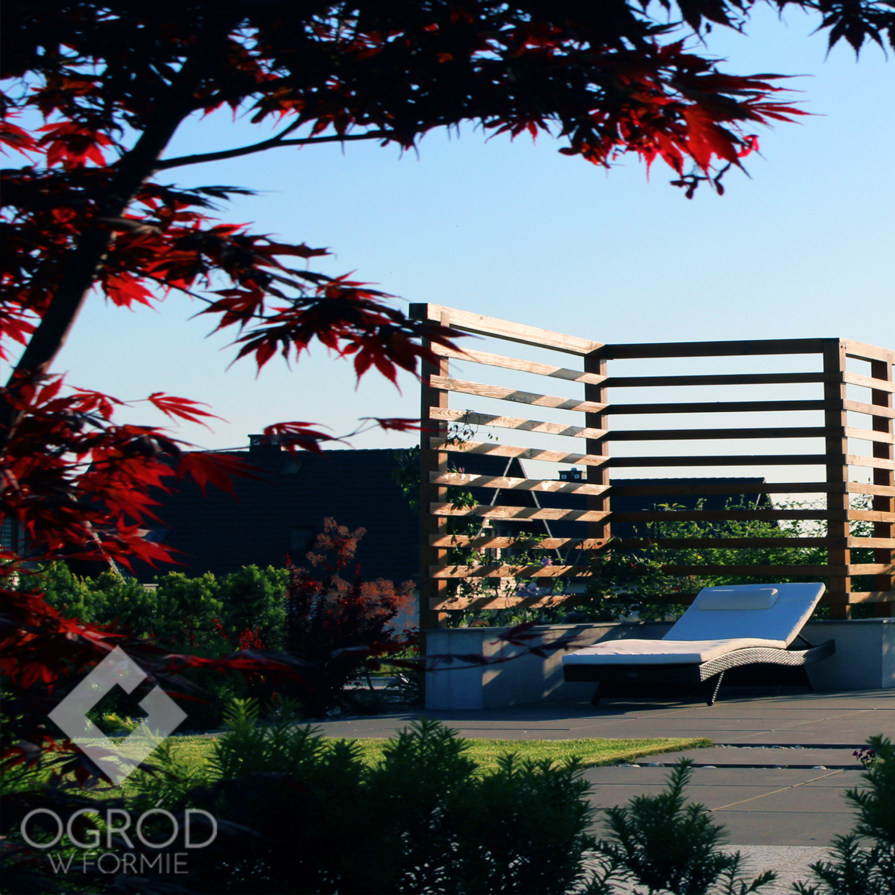 Nowoczesny ogród z drewnianą pergolą, leżakiem z poduszką i czerwonym klonem japońskim w roli głównej.