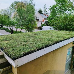 Efekt końcowy tworzenia zielonego dachu na wiacie śmietnikowej