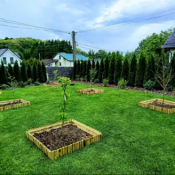 Młode drzewka posadzone w kwadratowych obramowaniach z drewnianych palików na trawniku przed domem.