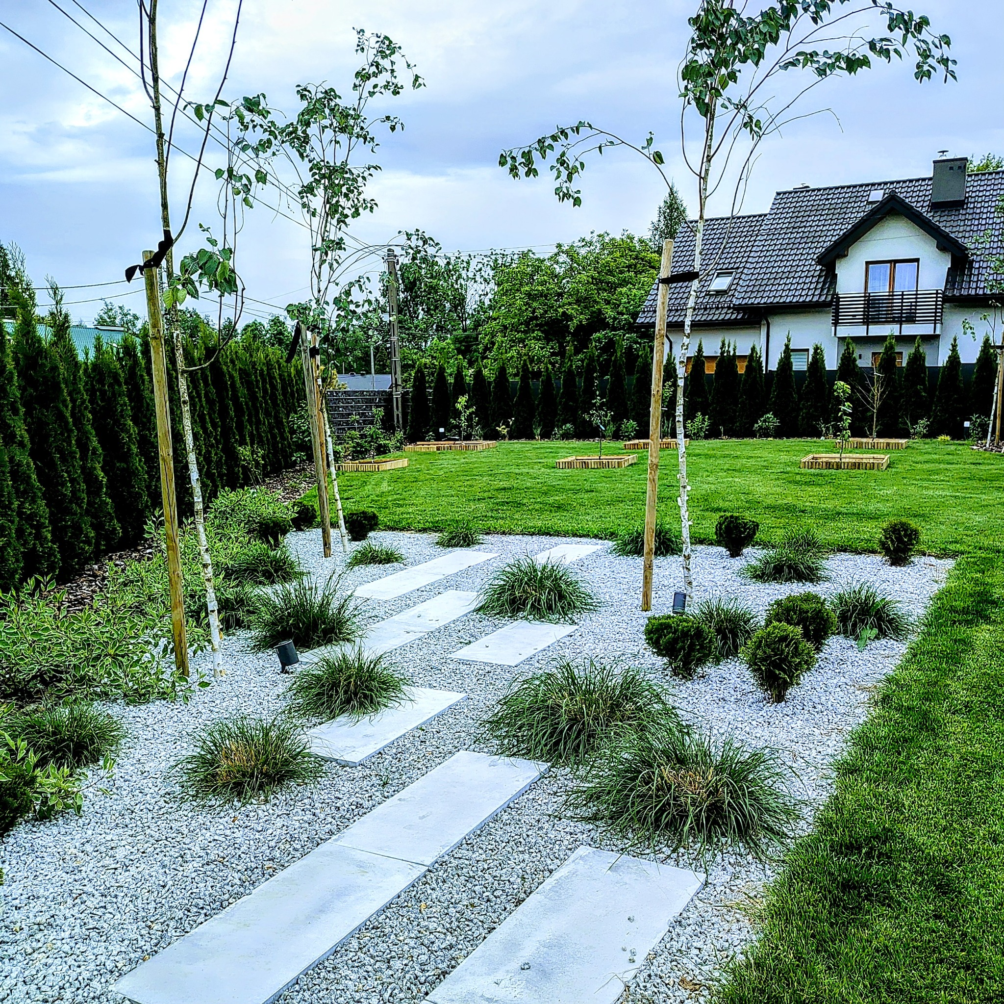 Nowoczesny ogród z równo przystrzyżonym trawnikiem, ścieżką z jasnych płyt otoczoną białym żwirem i ozdobnymi trawami, młodymi drzewkami podpartymi palikami oraz żywopłotem z tuj, na tle domu...