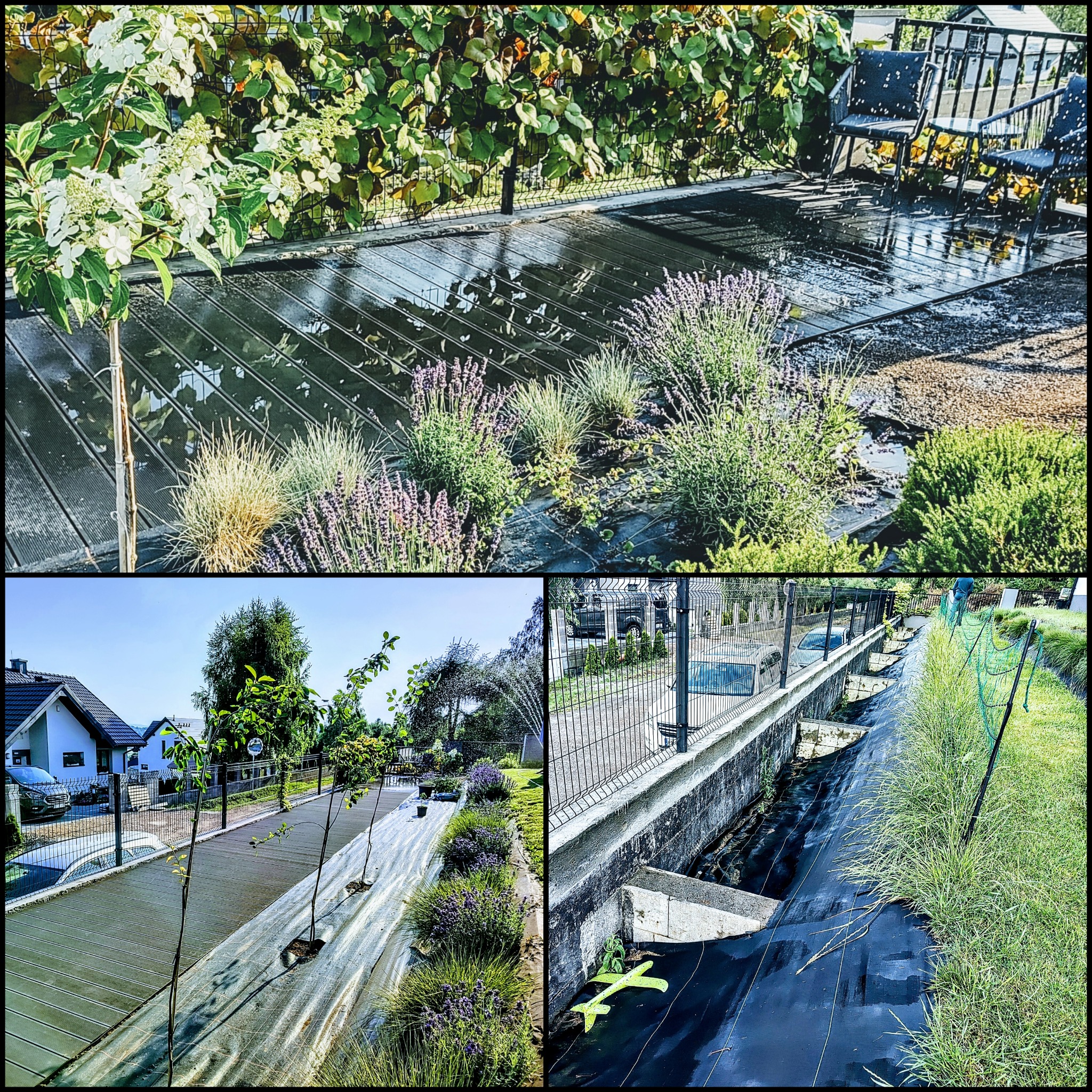 Kompozycja trzech ujęć ogrodu: górne - taras z roślinami po deszczu i meblami ogrodowymi, dolne lewe - rząd młodych drzewek i lawendy wzdłuż ścieżki, dolne prawe - fragment skarpy zabezpieczonej...