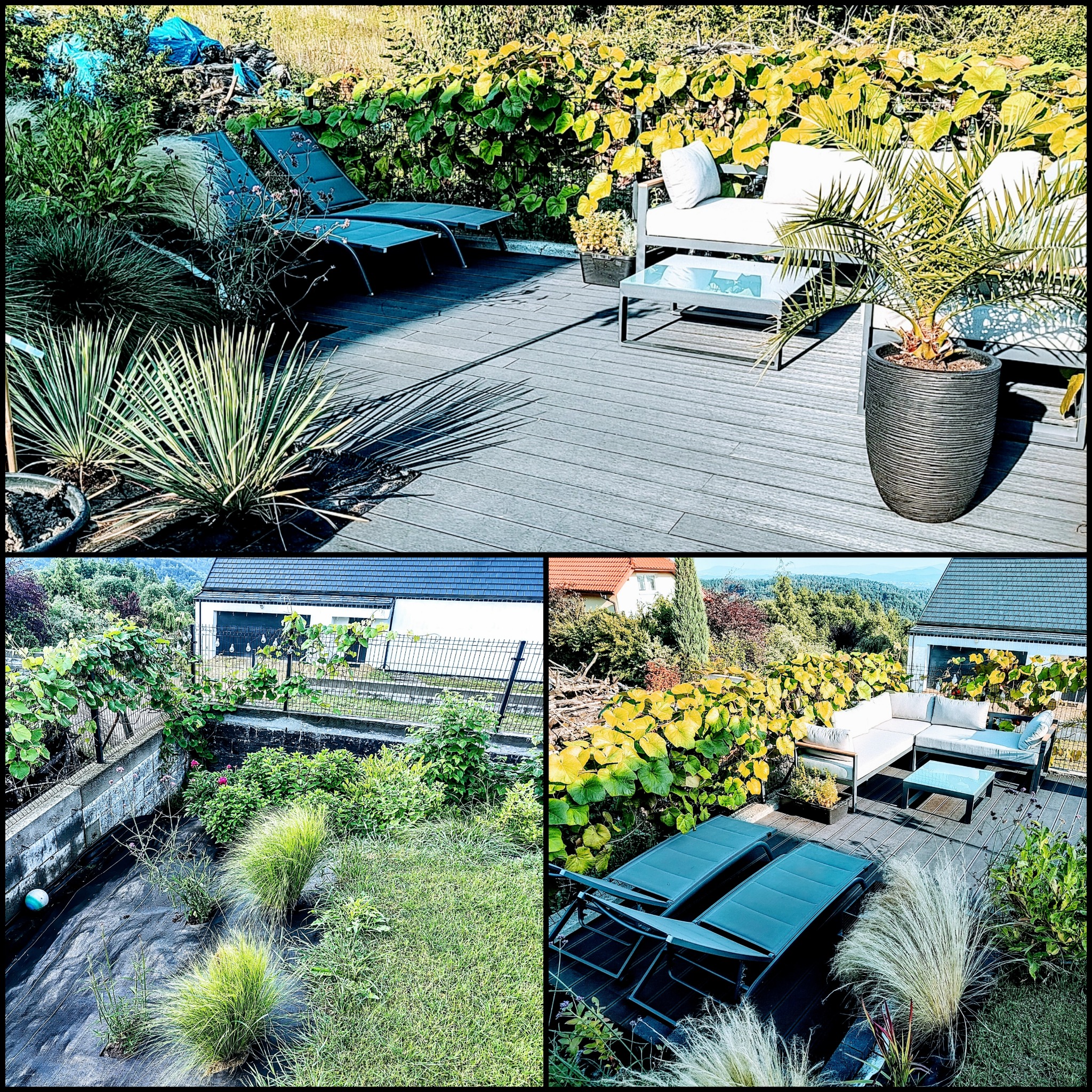 Umeblowany taras z leżakami i sofą na drewnianej podłodze, otoczony zielenią i roślinami w donicach, widok na ogród w Krakowie.