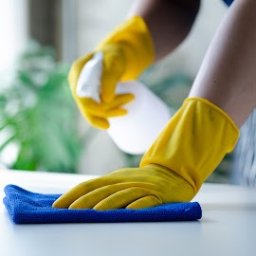 Katarzyna Bysiek - usługi sprzątające - Usługi Mycia Okien Niedomice