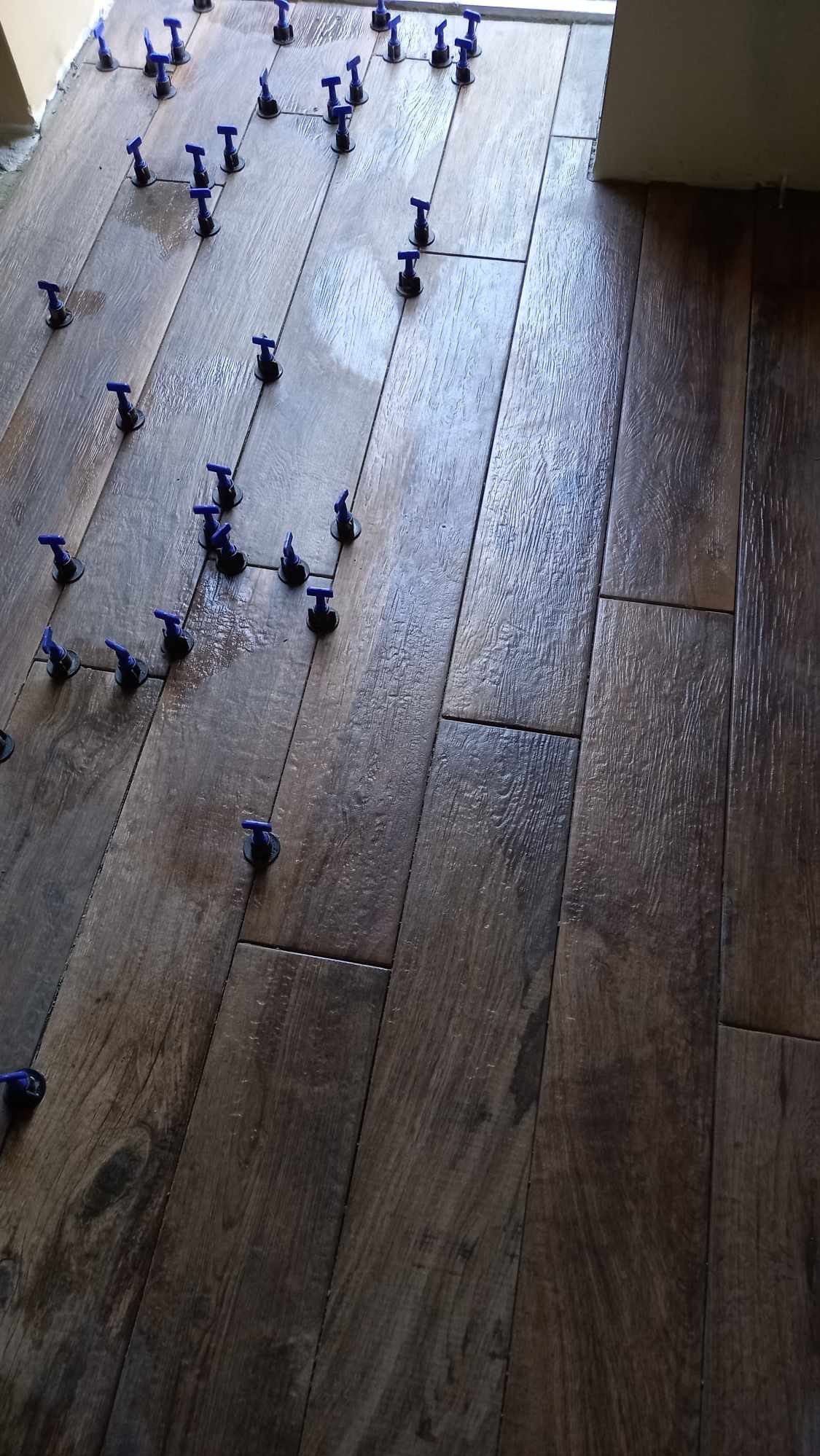 Ułożone, brązowe panele podłogowe imitujące drewno, z niebieskimi elementami poziomującymi, tworzą wzór w jasnym wnętrzu. Widok z góry, ukośny kadr.