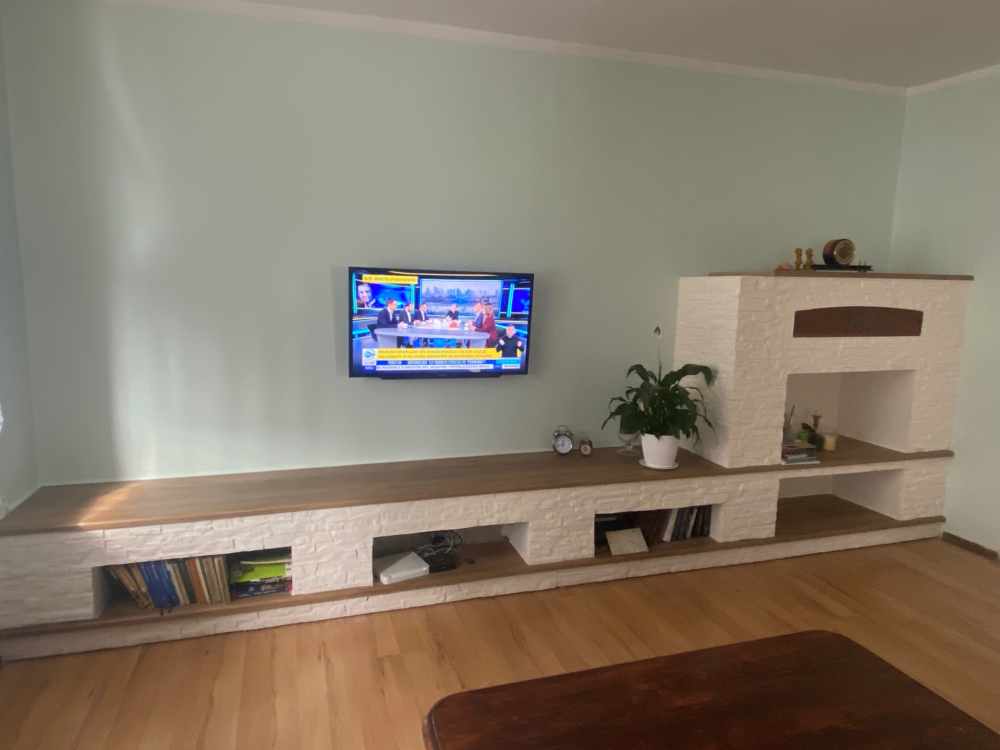 Nowoczesna aranżacja salonu z długim, białym regałem z drewnianym blatem, na którym stoi telewizor. Na regale książki, dekoracje i roślina doniczkowa.