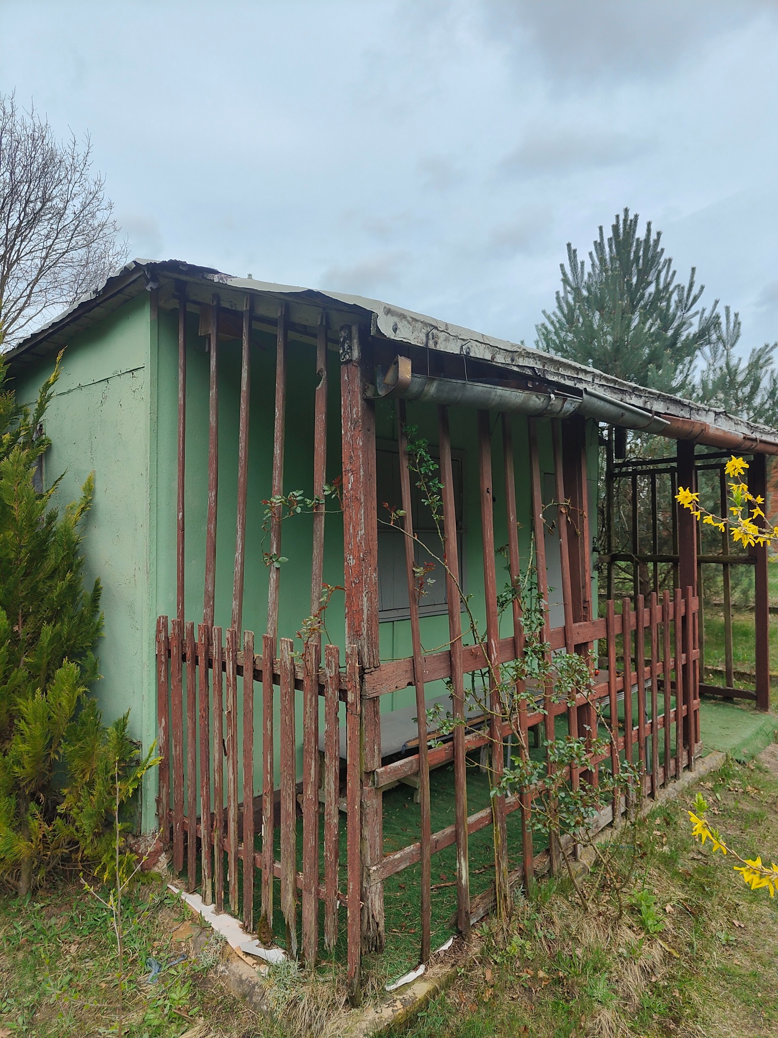 Stara, zielona altana z drewnianą, częściowo rozpadającą się konstrukcją ogrodzenia i zadaszenia, otoczona roślinnością, w pochmurny dzień.