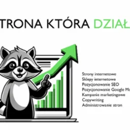 Grafika reklamowa: szop pracz wskazuje na rosnący wykres słupkowy na ekranie laptopa, obok lista usług internetowych, napis 'Strona która działa' na górze.