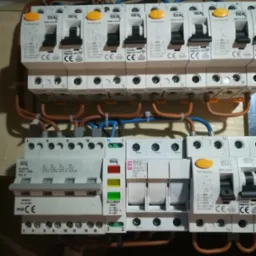 Olszowa - Listopad 2024