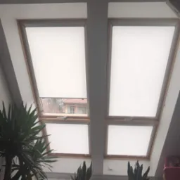 Dwa okna dachowe z drewnianymi ramami i białymi roletami, częściowo zwinięte, widok na zewnątrz, w tle rośliny doniczkowe i lampa sufitowa.