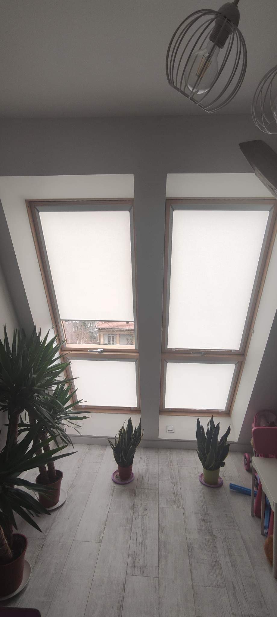 Dwa okna dachowe z drewnianymi ramami i białymi roletami, częściowo zwinięte, widok na zewnątrz, w tle rośliny doniczkowe i lampa sufitowa.