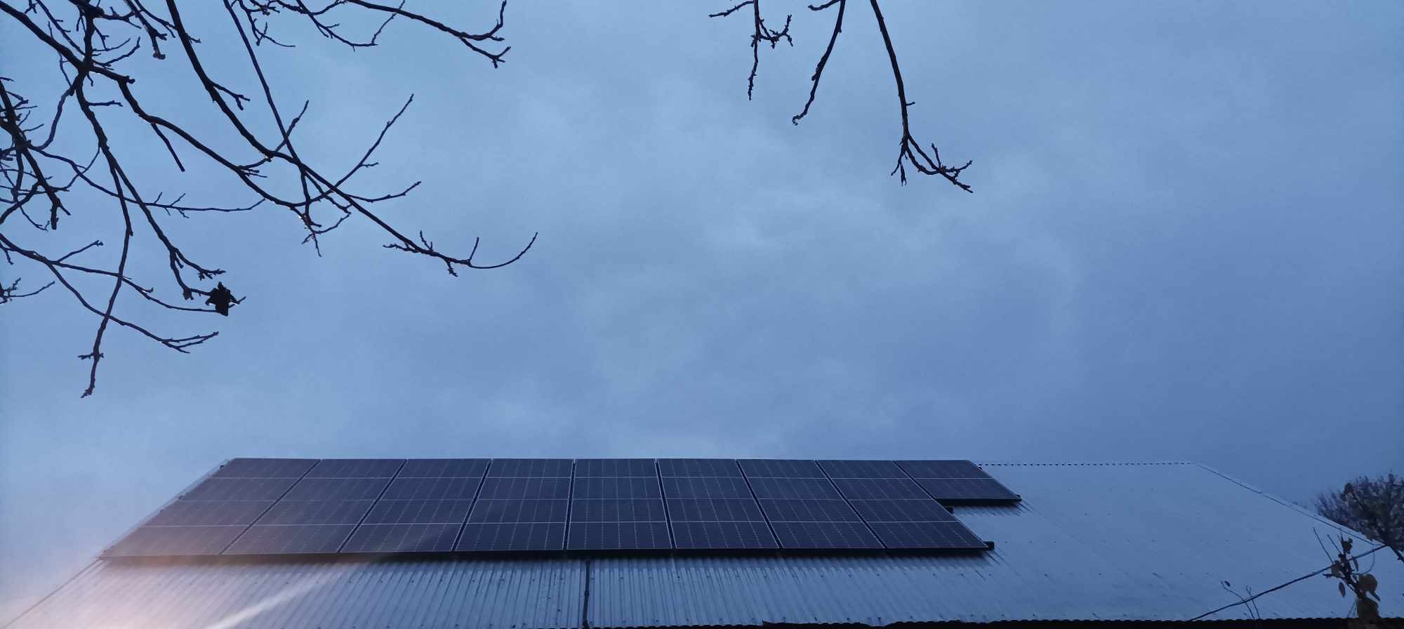 Panele słoneczne na blaszanym dachu w pochmurny dzień, widoczne gałęzie drzew