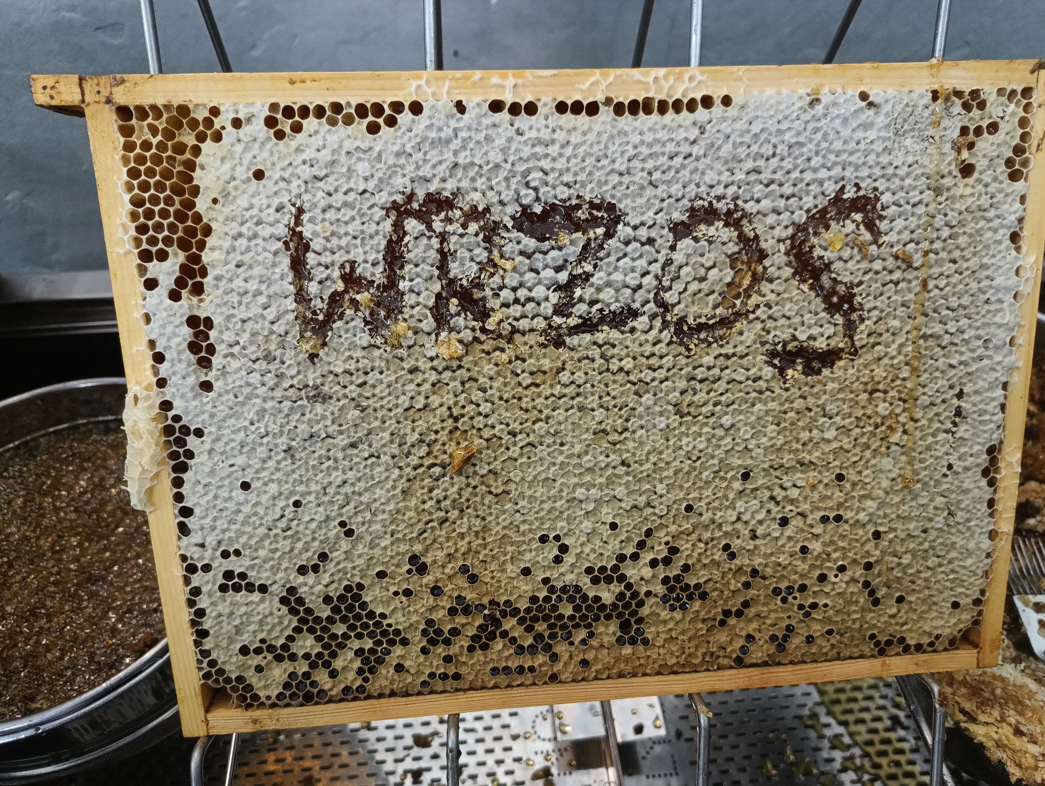 Ramka pszczela z częściowo zasklepionym miodem, na którym widać napis 'WZOOS' wykonany z miodu, całość umieszczona na metalowej konstrukcji.