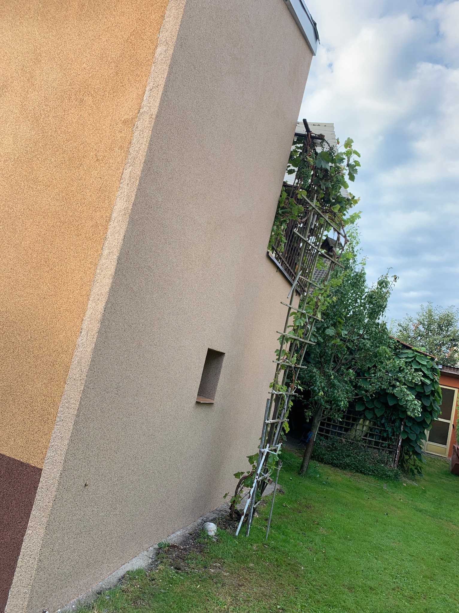 Dwukolorowa elewacja budynku z małym oknem, obok metalowa konstrukcja z pnącymi roślinami, widok na fragment ogrodu i niebo.