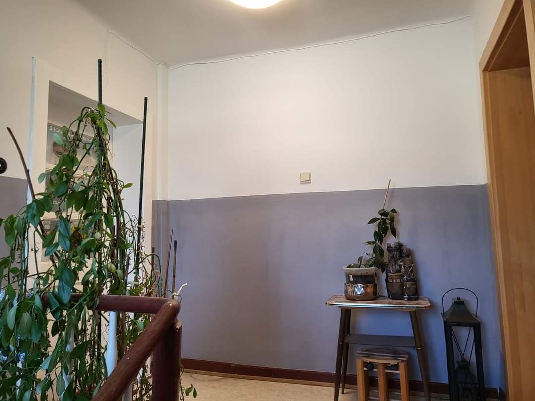 Świeżo pomalowana ściana dwukolorowa, szara dolna część i biała górna, z widocznymi pęknięciami przy suficie, dekorowana roślinami w doniczkach i lampionem na małym stoliku.