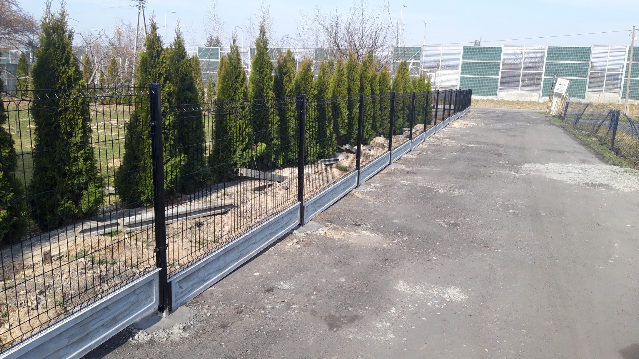 Długi odcinek czarnego ogrodzenia z siatki, osadzonego na betonowej podmurówce, oddzielający rząd wysokich, zielonych tuj od asfaltowej drogi dojazdowej.