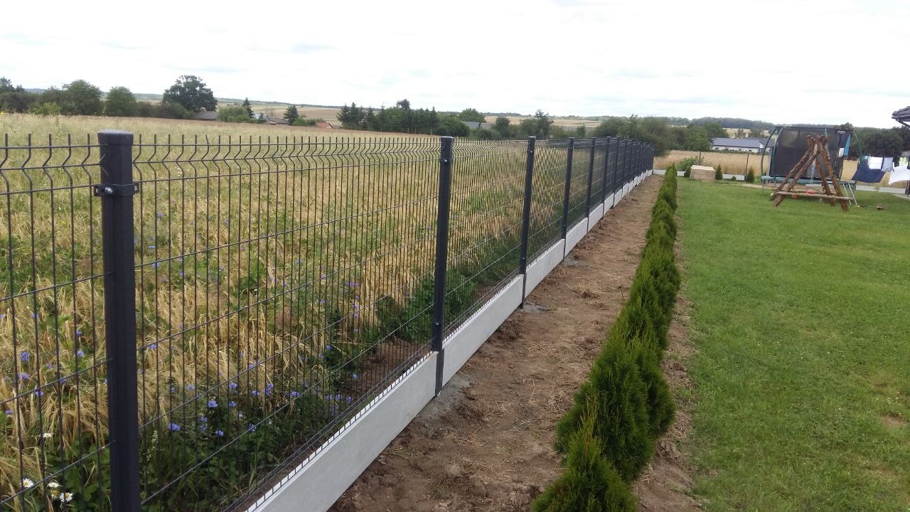 Długi fragment czarnego ogrodzenia panelowego z podmurówką betonową, oddzielający posesję od pola, z rzędem małych tuj wzdłuż ogrodzenia.