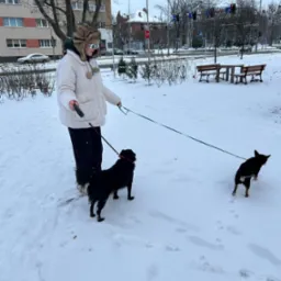 Osoba w białej kurtce i futrzanej czapce z okularami przeciwsłonecznymi prowadzi dwa czarne psy na smyczy po zaśnieżonym parku miejskim w pochmurny dzień.