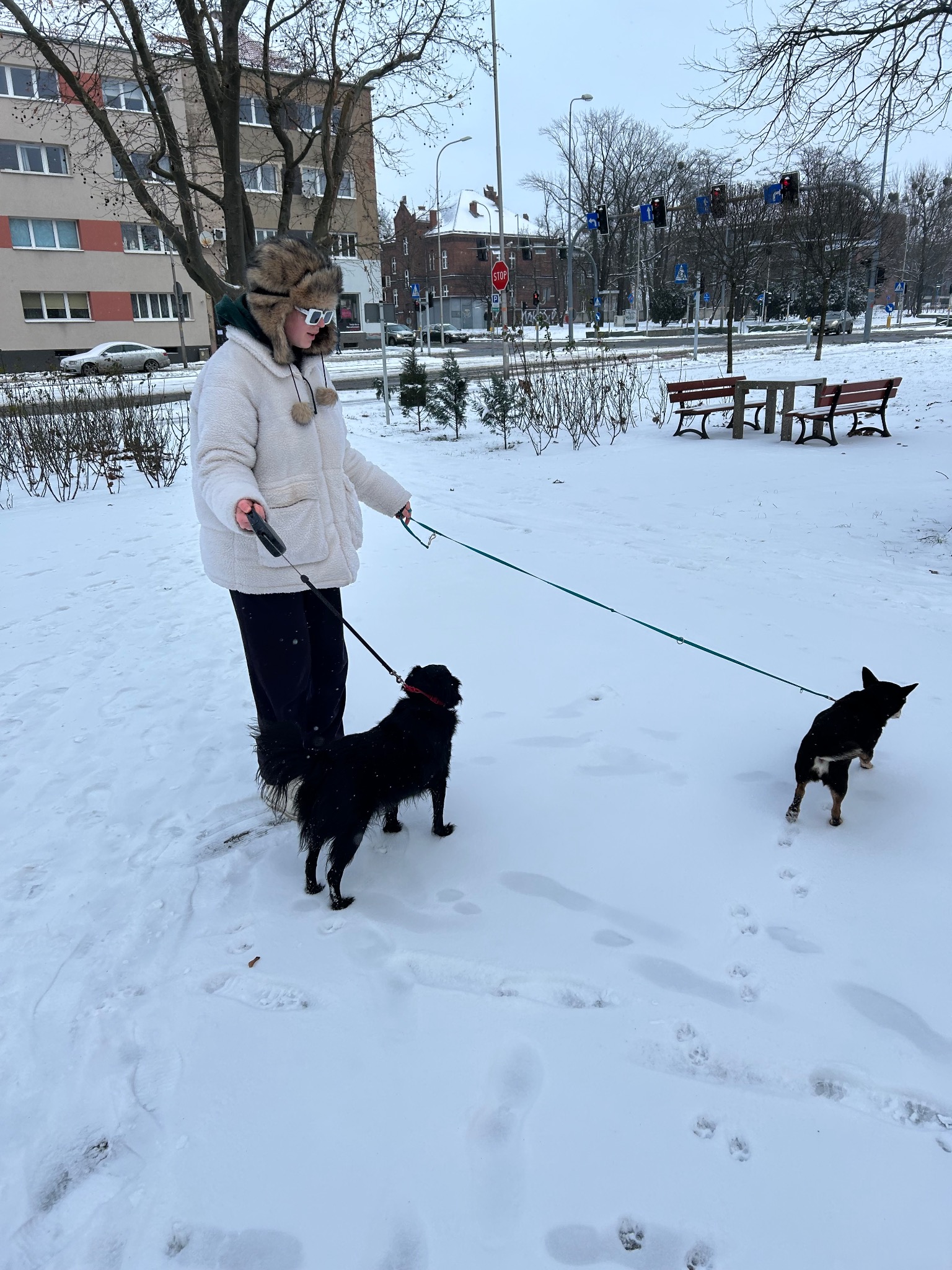 Osoba w białej kurtce i futrzanej czapce z okularami przeciwsłonecznymi prowadzi dwa czarne psy na smyczy po zaśnieżonym parku miejskim w pochmurny dzień.