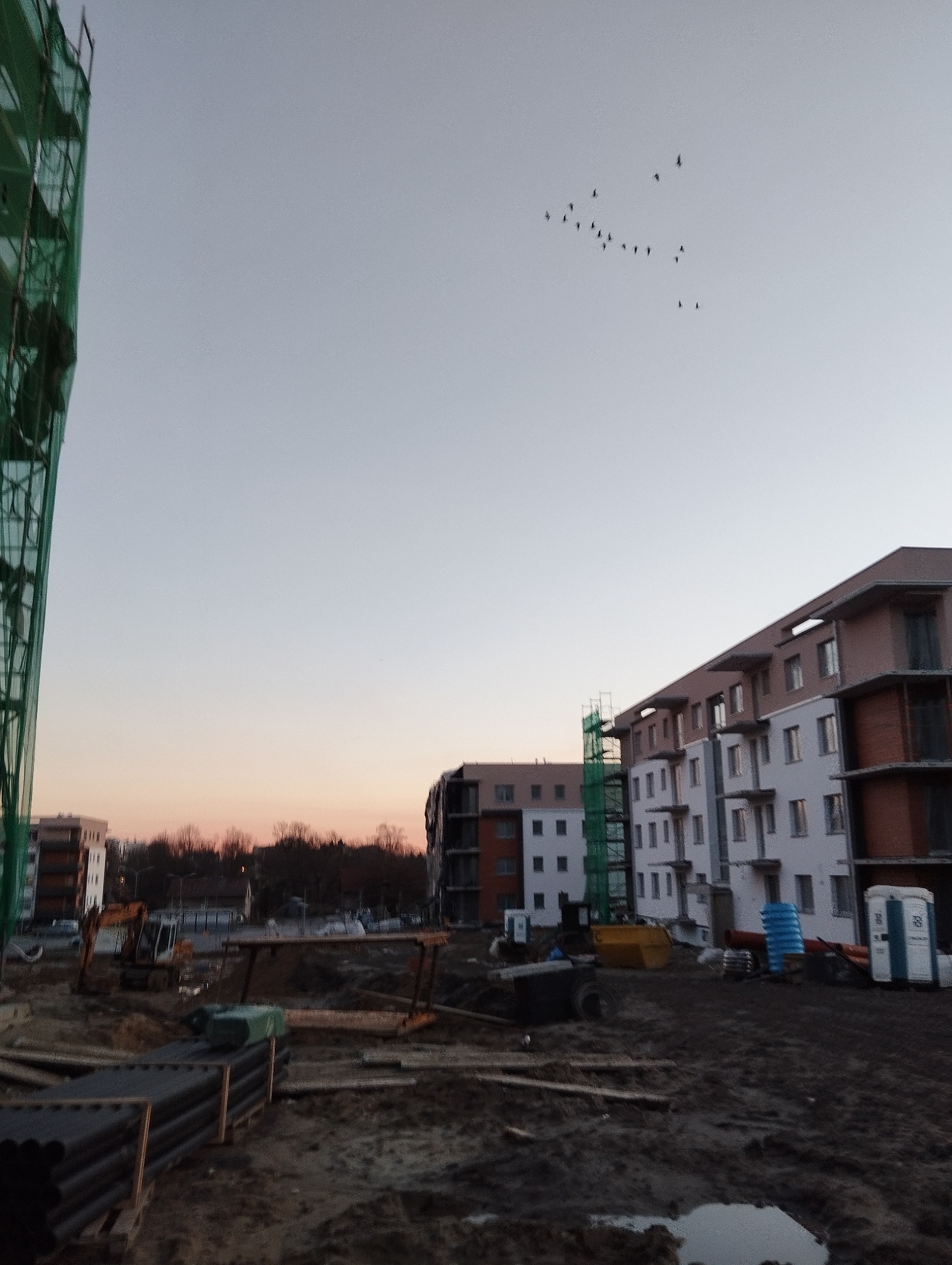 Plac budowy z widokiem na wielopiętrowe budynki w trakcie budowy, z widocznym sprzętem budowlanym, materiałami i stadem ptaków na tle zachodzącego słońca.