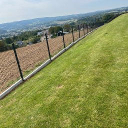 Montaż ogrodzeń Sokołów Małopolski 4