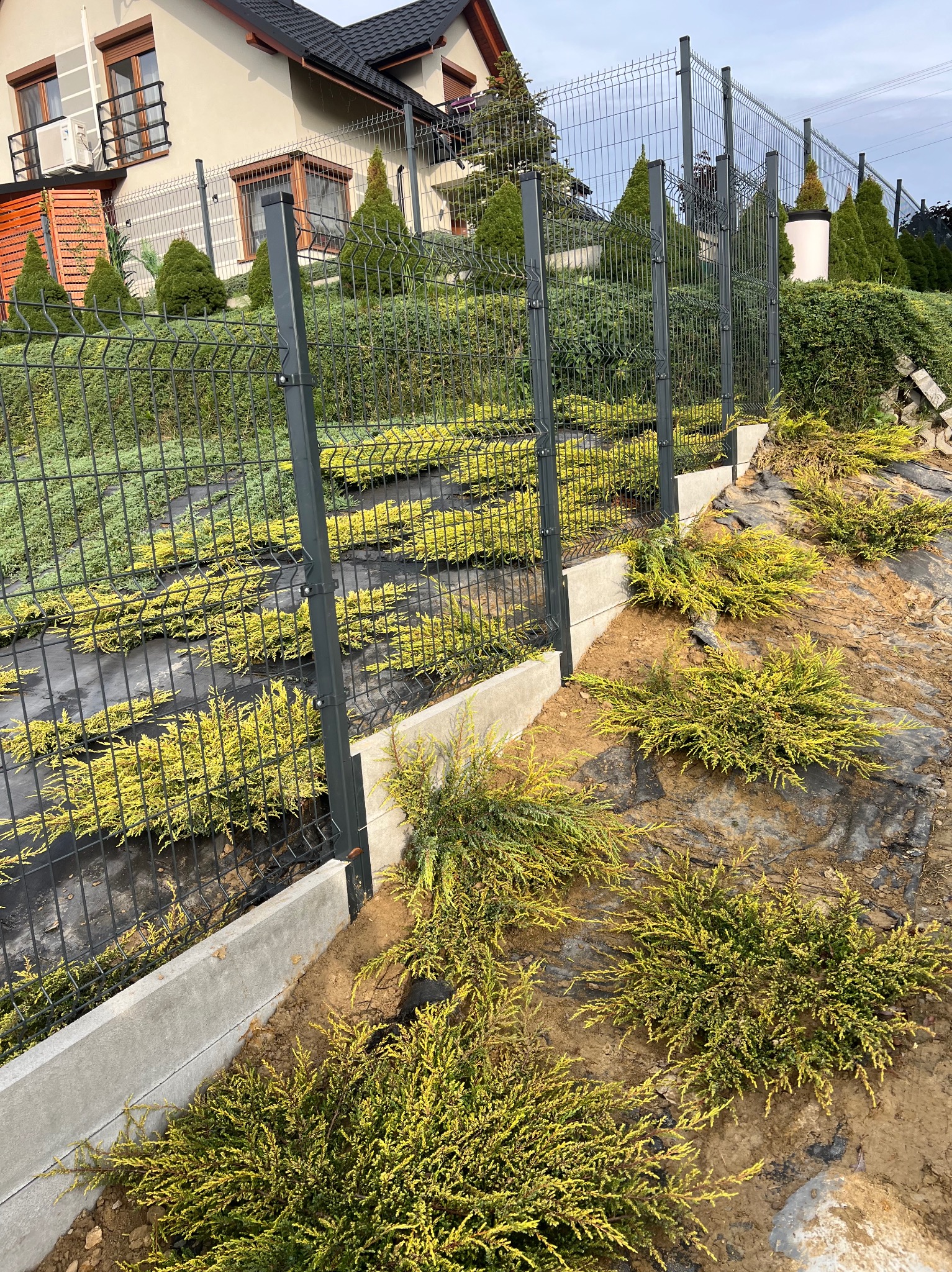 Metalowe ogrodzenie panelowe na betonowej podmurówce, z widoczną siatką i słupkami, otoczone roślinnością na nierównym terenie przy domu.