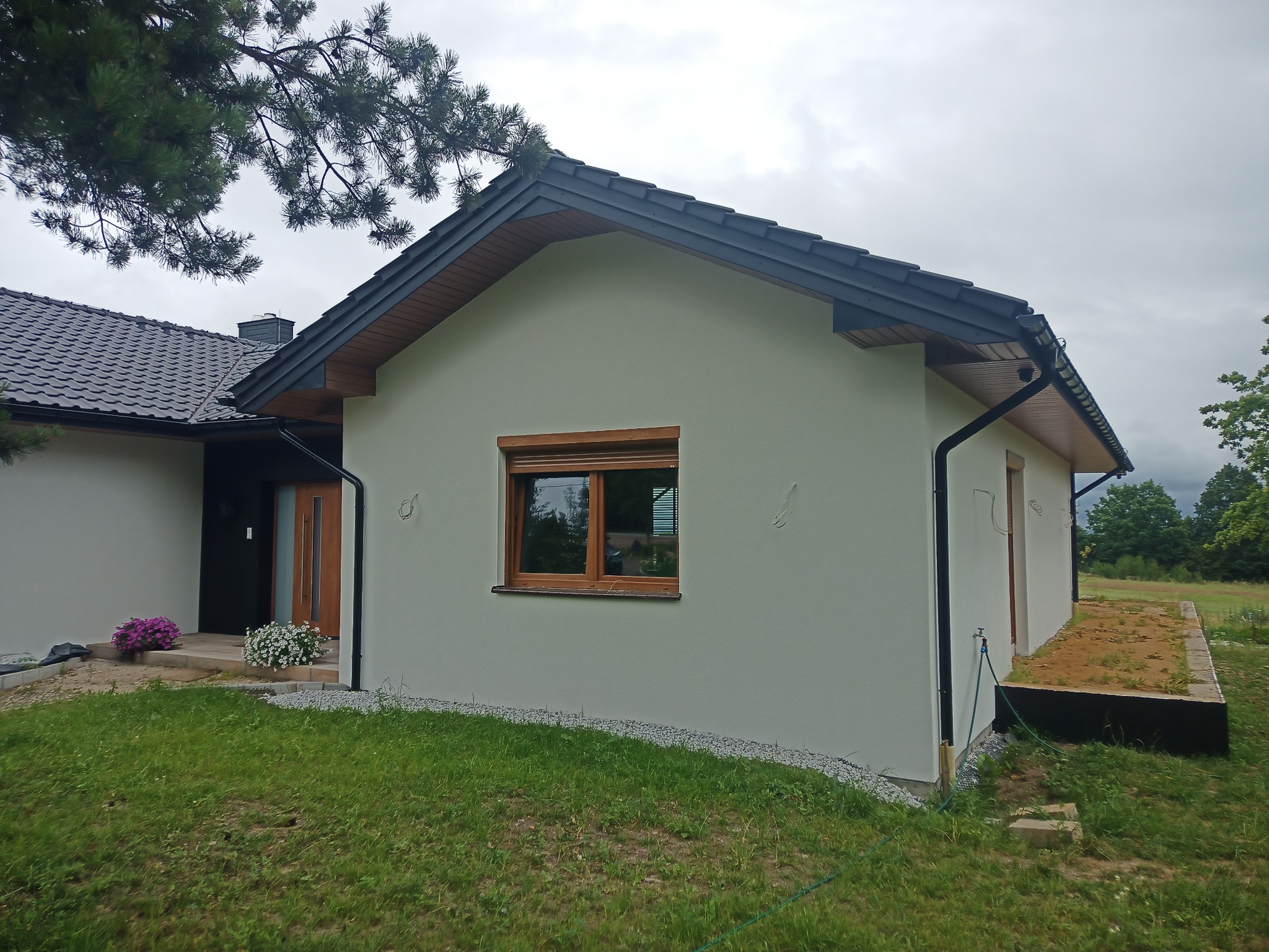 Świeżo otynkowany, jasny budynek z drewnianą stolarką okienną i ciemną dachówką, widoczny z perspektywy trawnika, z fragmentem sosny w górnym lewym rogu.