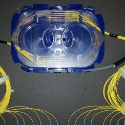 Digi-Media Paweł Kopczyński - Rozdzielnica światłowodowa z przezroczystą obudową i uporządkowanymi żółtymi kablami, zamocowana na szarej płycie montażowej.